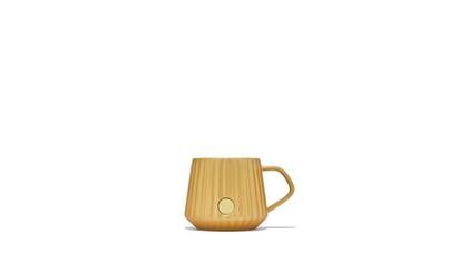 MUG GOLD PLEAT HOL FY26 120Z