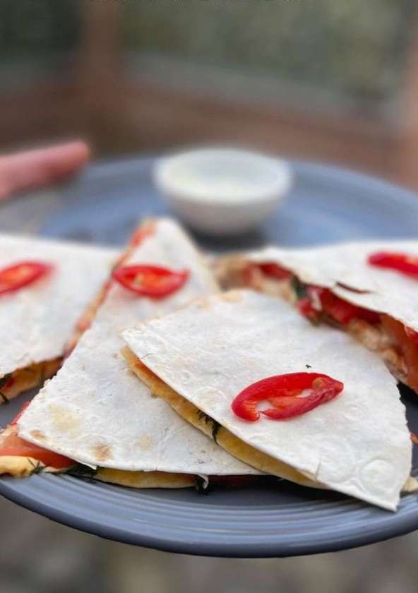 Chicken Quesadilla