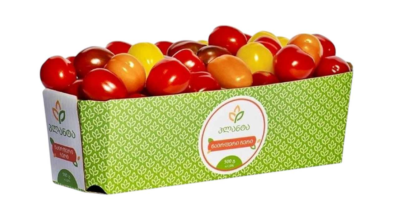 Colorful cherry tomatoes "Planta" with container -1 pc.