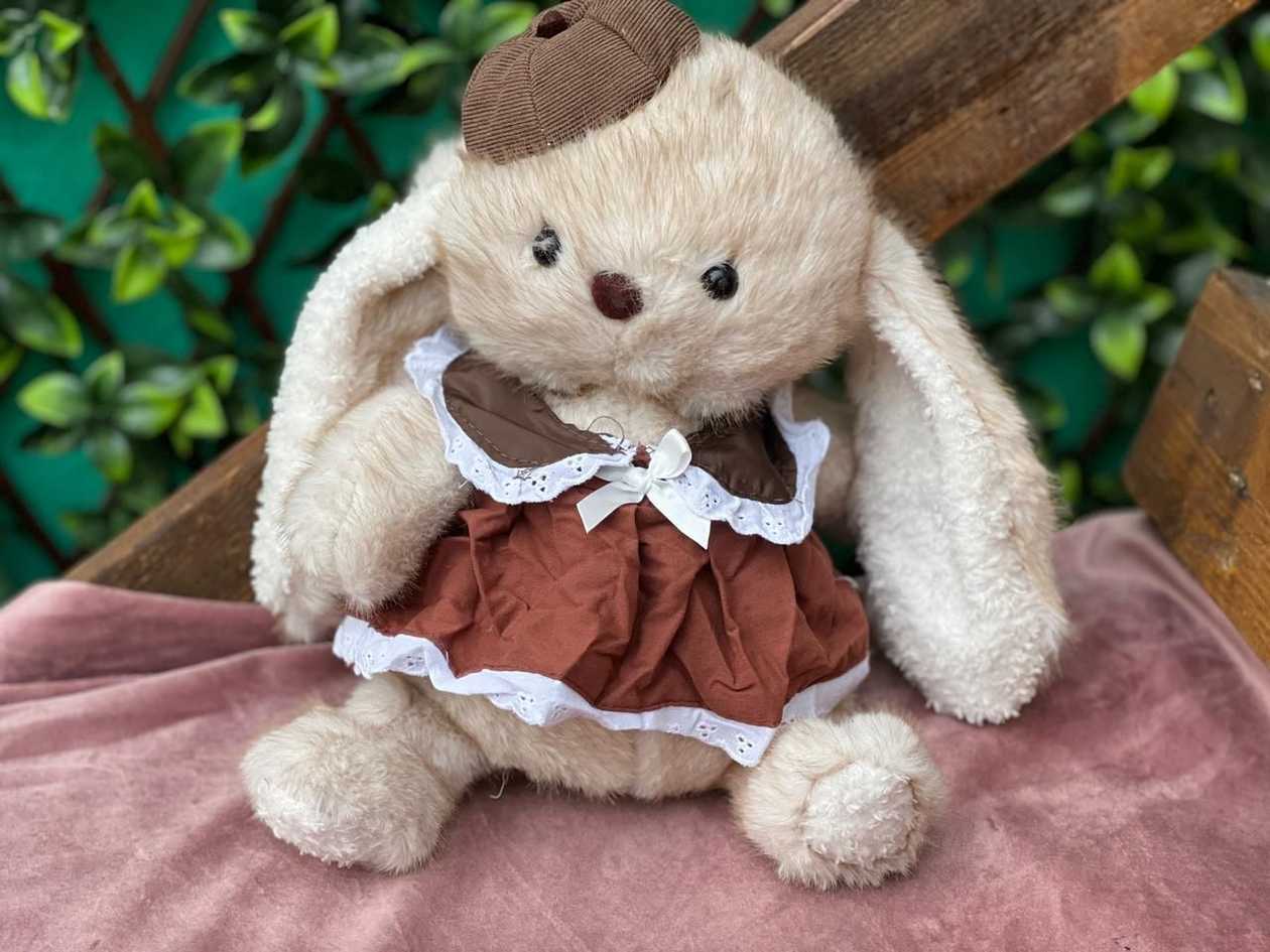 Rabbit in Brown Hat and Dress