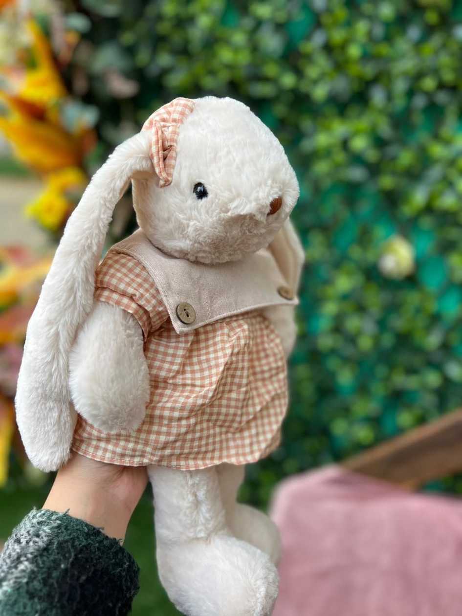 Rabbit with Big Ears and Plaid Dress