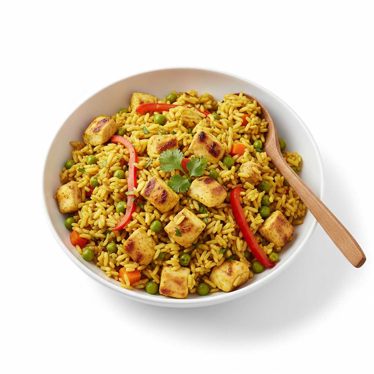 Fried rice curry with chicken