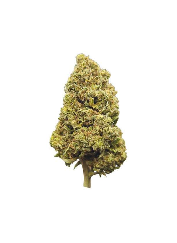 Flor BZ 30% Fruit Cake 5g