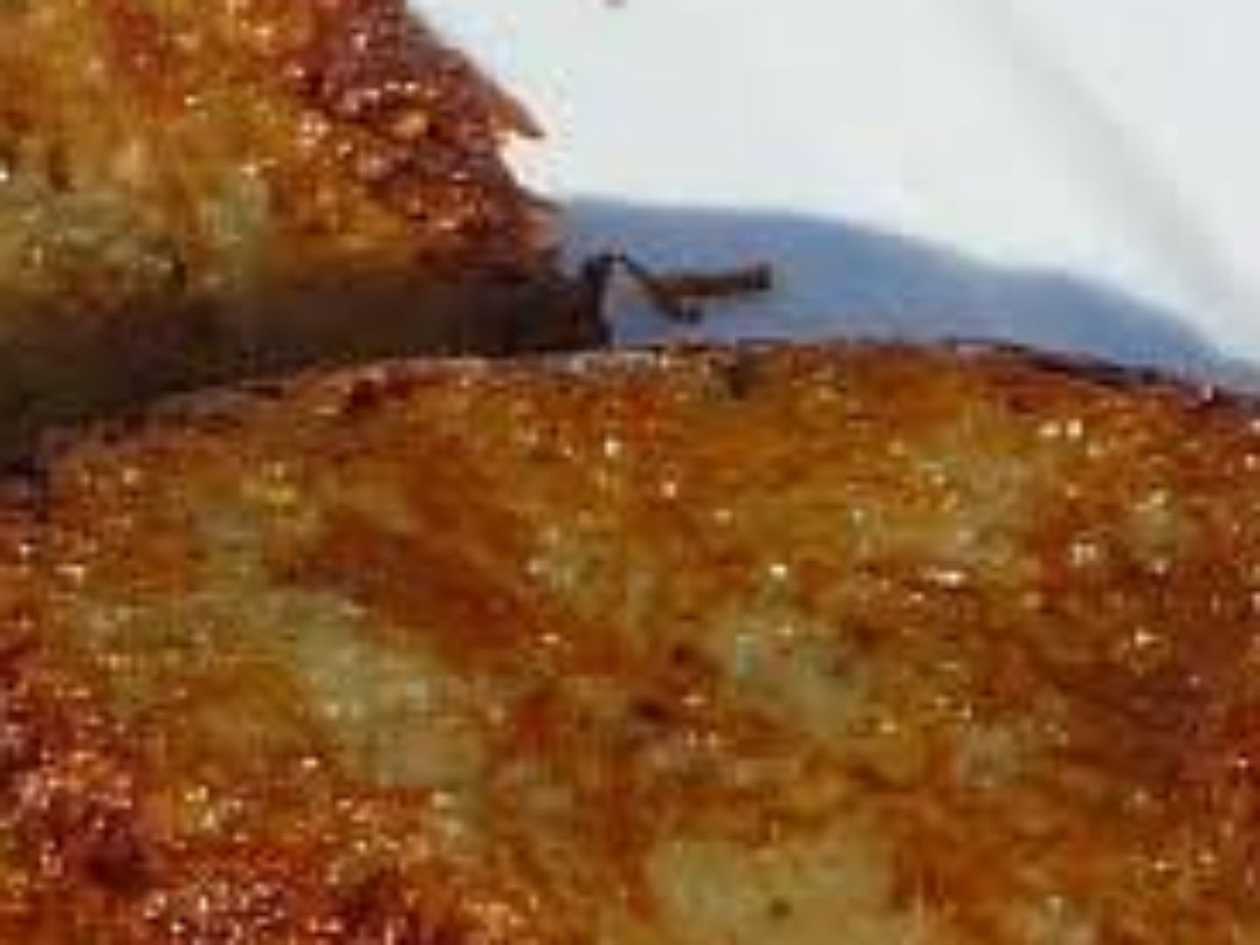 Slovenská kapsa + polévka