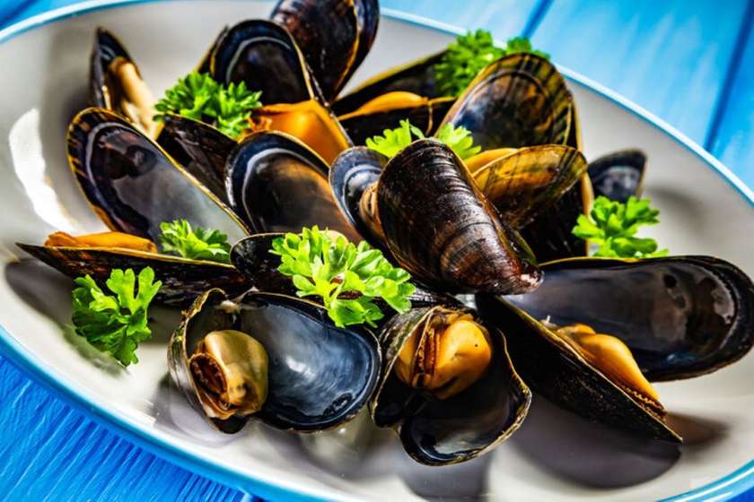 Mussels in shell with white wine sauce
