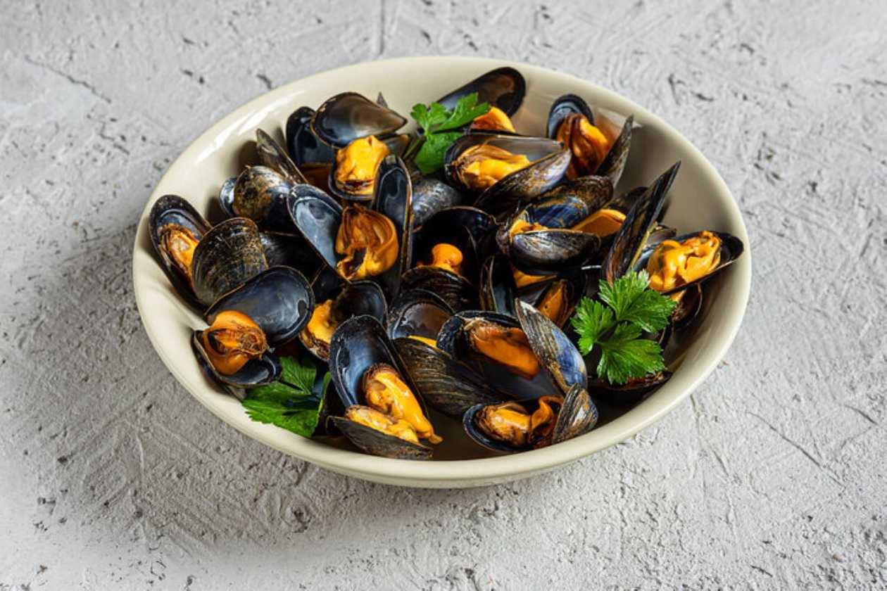Steamed Mussels in White Wine Sauce