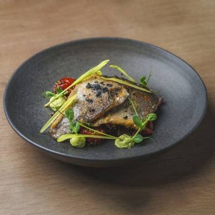 Pastrav pe pat de quinoua si legume sote