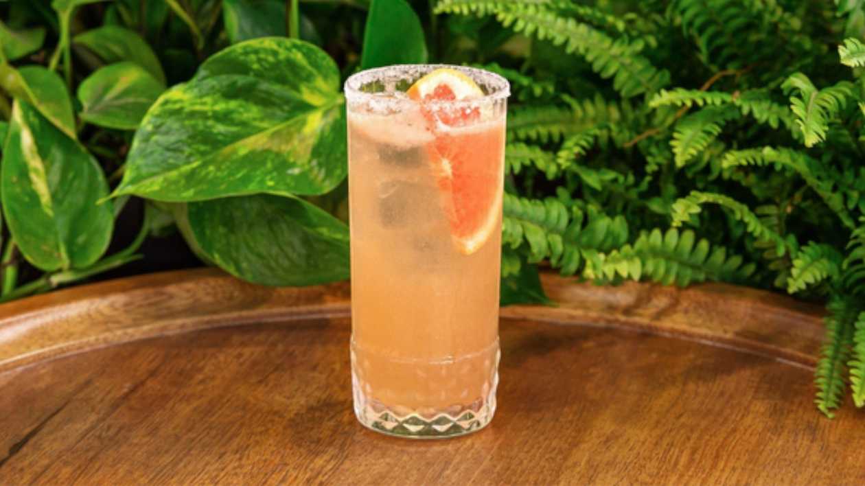 Paloma