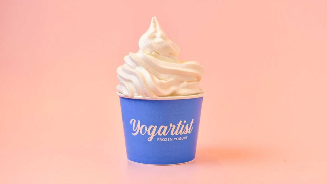 Make Your Own Yogurt