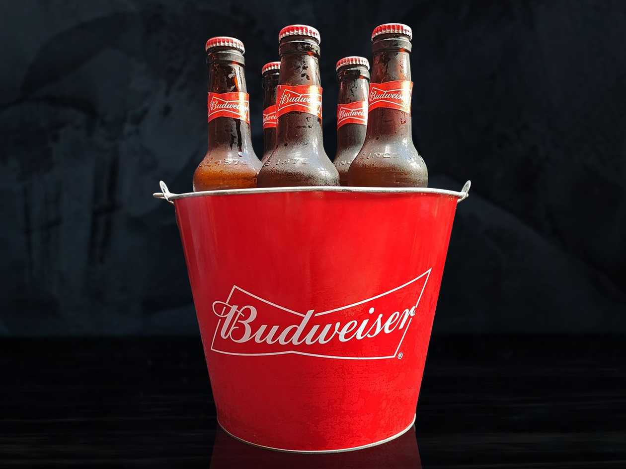 Budweiser bottle bucket
