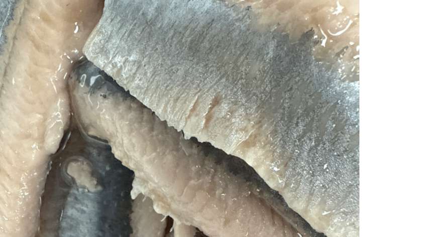 Dutch Pink Herring in Oil 400g