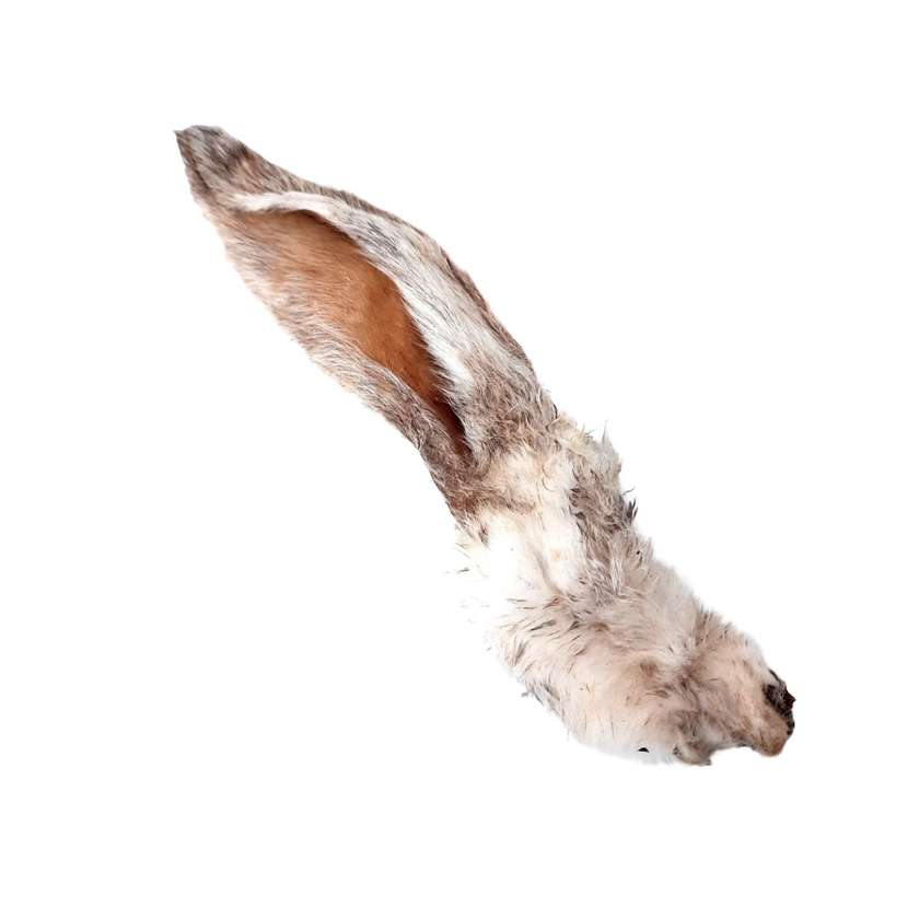 Rabbit Ear With Fur - 1 Pc
