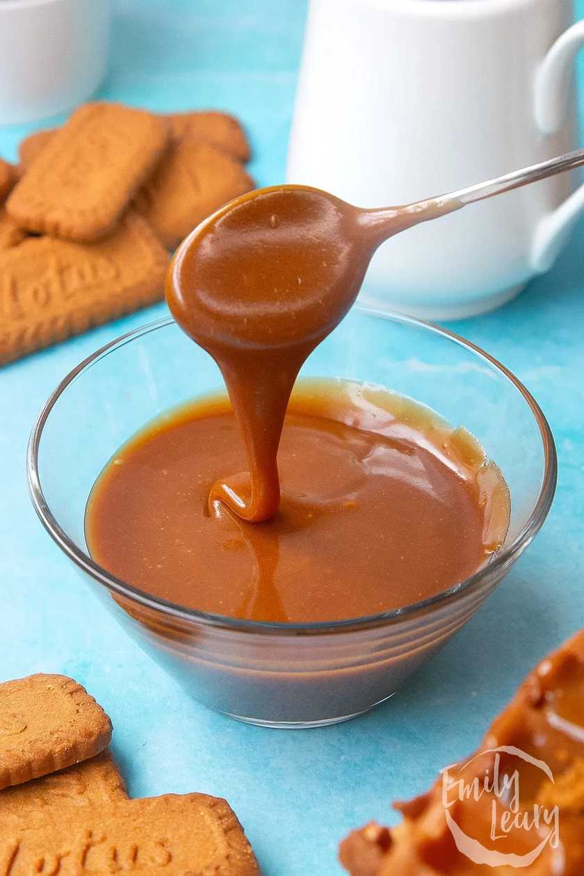 Lotus Sauce San Sebastian