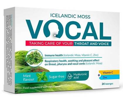 Vocal HA Sugar-Free Pastilles with Mint Flavor 24 pcs