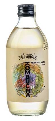 Kombucha Terra Plants Tea 0.33