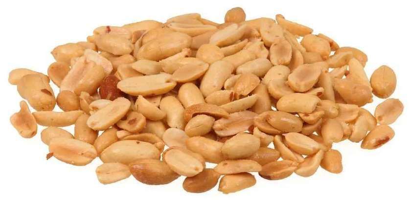 Groundnut