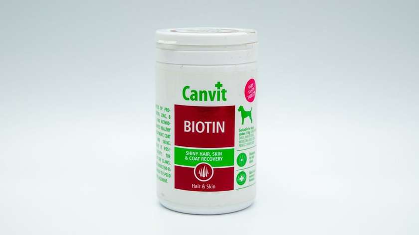 Canvit Biotin Vitamin for Dogs with Pieces