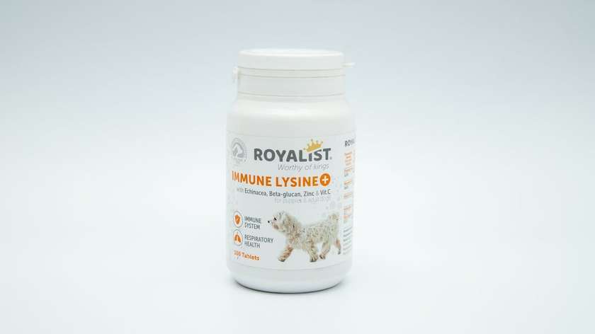 Royalist Immune Lysine Vitamin for Dogs