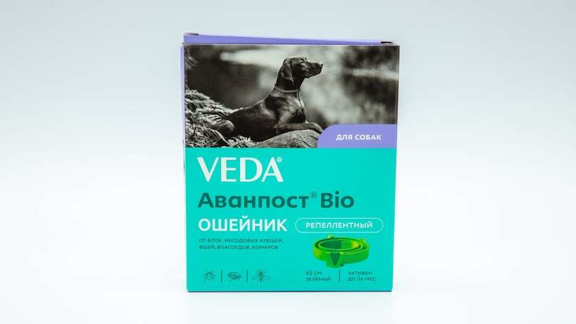 Veda Avanpost Bio Leash for Dogs