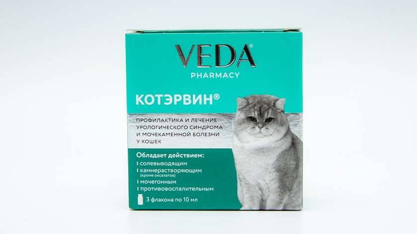 Kotervin Ampoule 10 ml for Cats