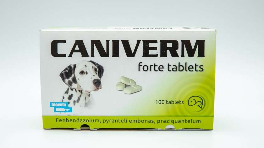 Caniverm for Dogs and Cats 10kg Each