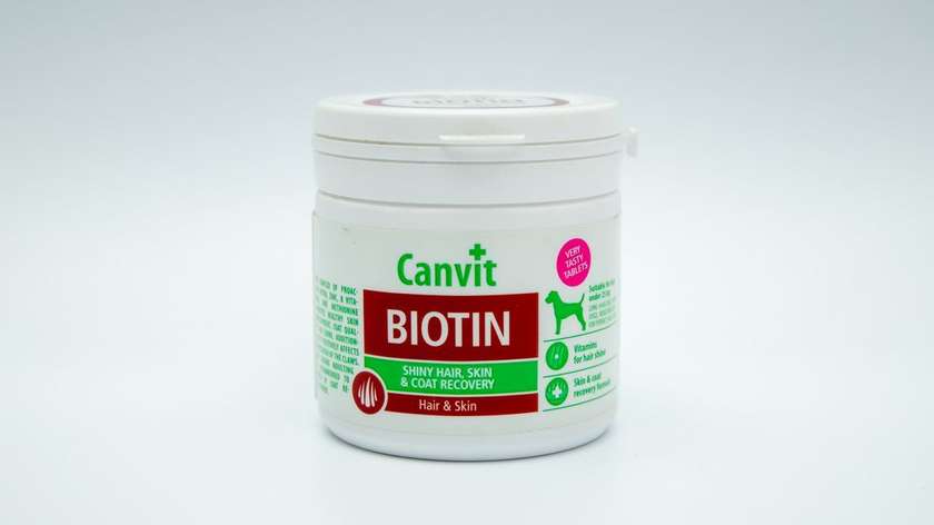 Canvit Biotin Vitamin for Dogs (Pieces)