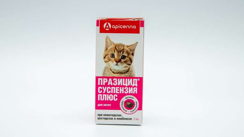 Prazicide Suspension for Cats