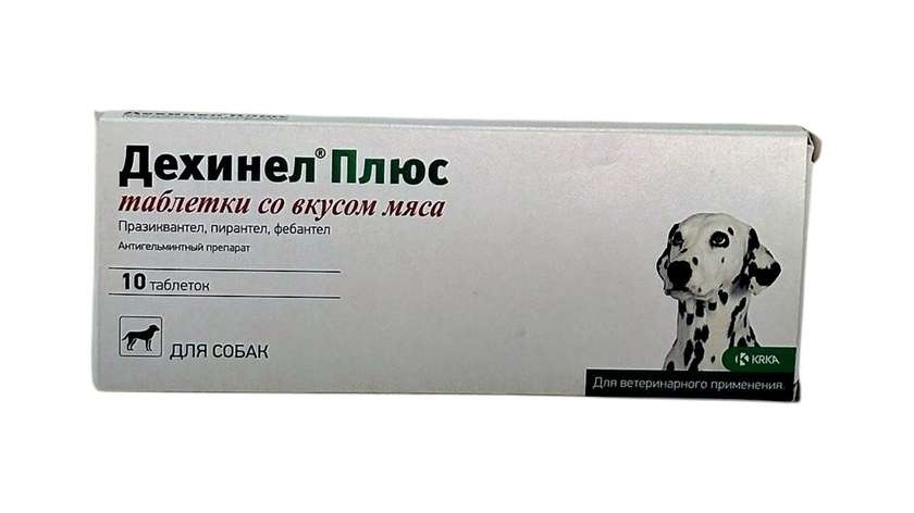 Dexinel Plus Worm Medicine for Dogs 10kg (per piece)