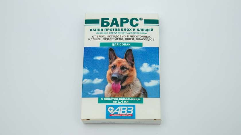 Dog Bar