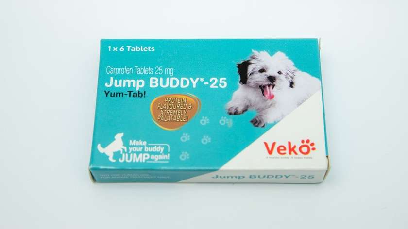 Jump Buddy 25mg Tablet N6