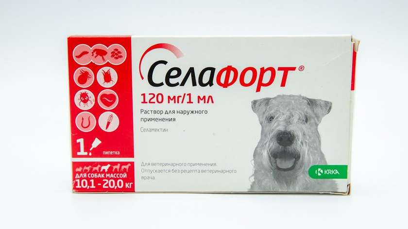 Selafort for 10-20kg Dogs Against External and Internal Parasites