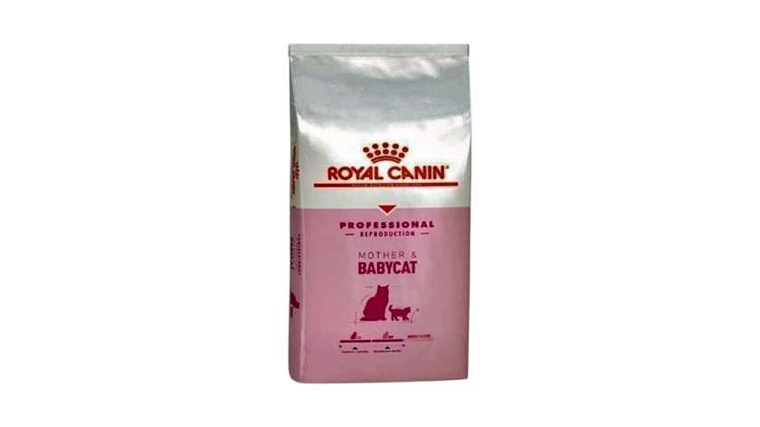 Royal Canin Mother and Baby Cat Dry Food for Kittens (200 gr by weight)
