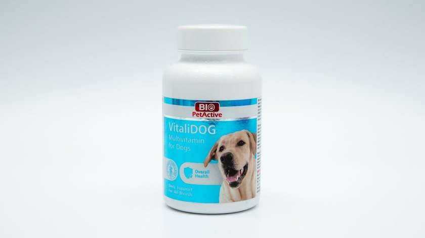 Biopetactive Vitali Dog Vitamin for Dogs