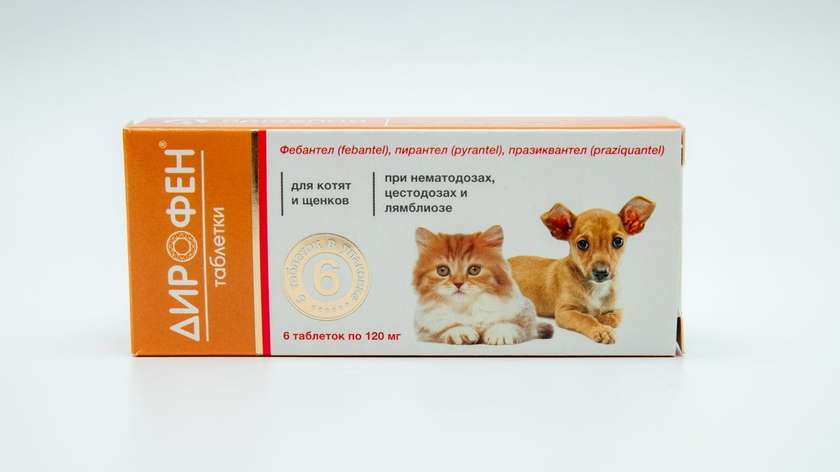 Dirofen for Puppies and Cats