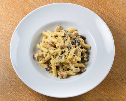 Pollo Fungi