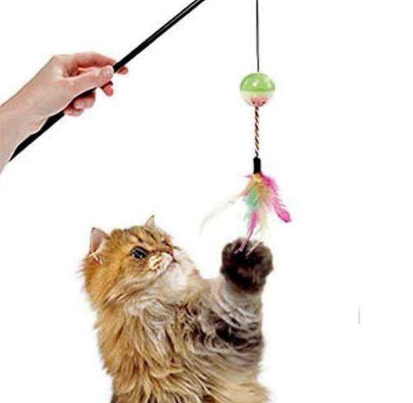 Cat Teaser Wand with Feather and Ball - 50 cm