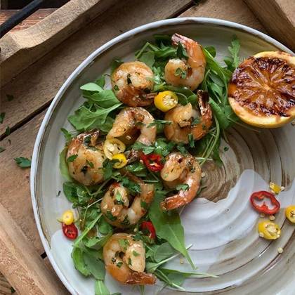 Scampi Limoncello