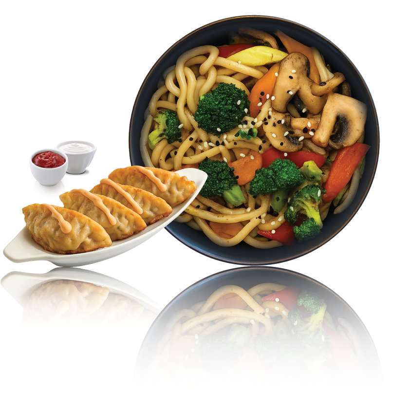 Udon Noodles with Vegetables and Mushrooms in WoK sauce + Vegetarian Gyoza Dumplings