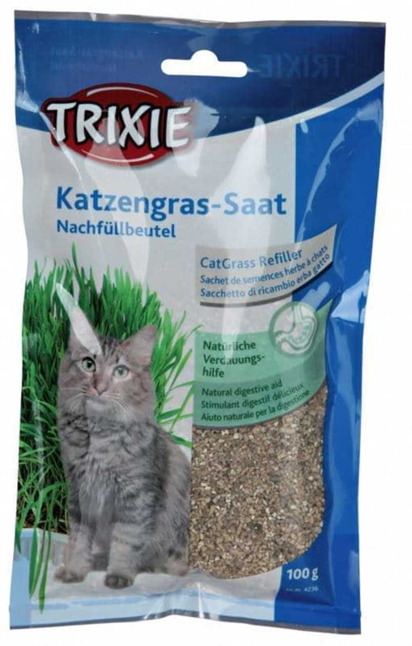 Trixie Zāle kaķiem Cat Grass (bag), 100 g  -  [42367]