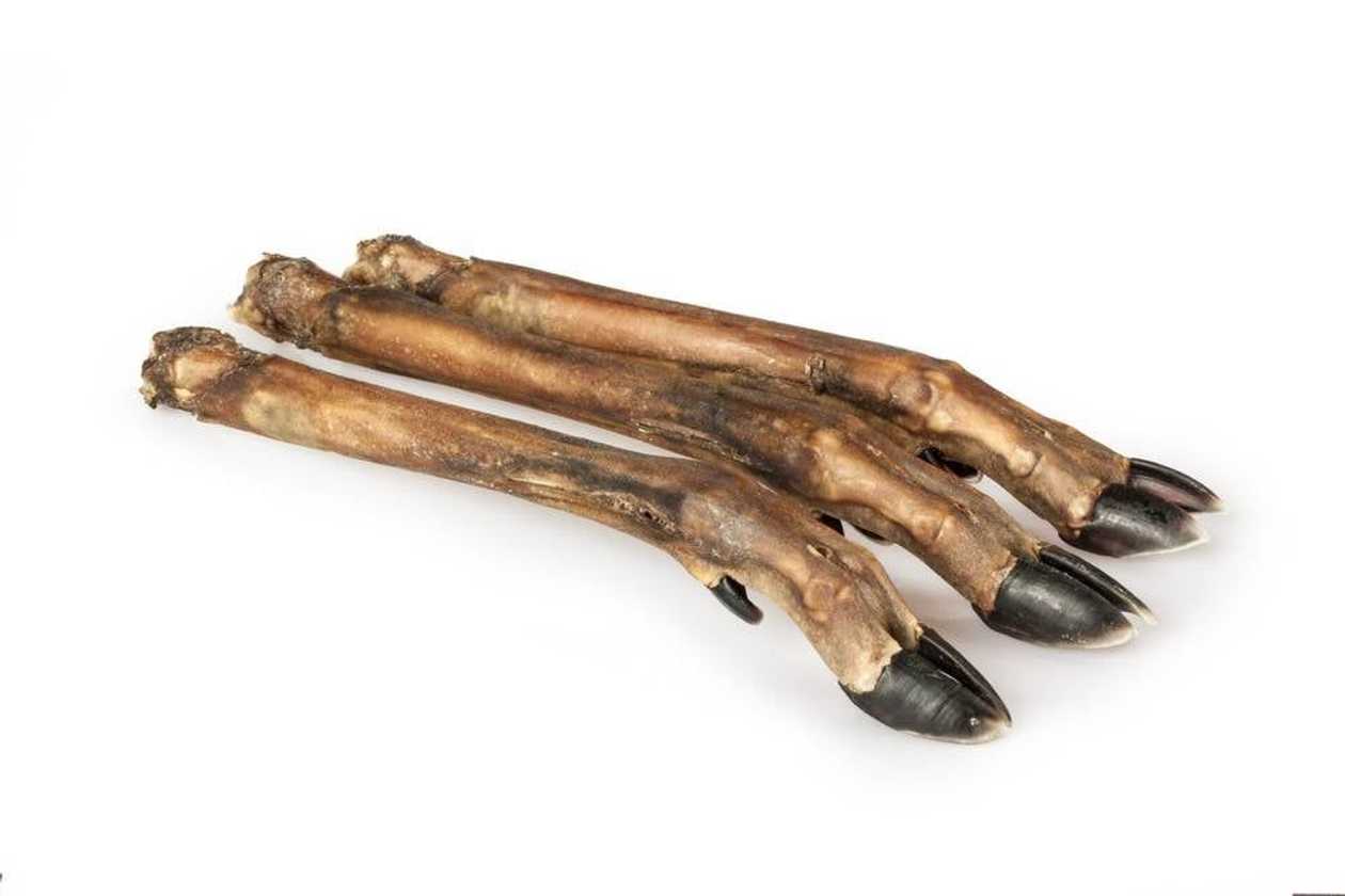 Laikas Gardums Stirnas kāja 1gb.  -  [85291]