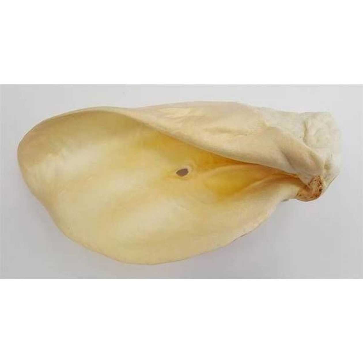 Laikas Gardums Liellopu ausis (baltas), gab.  -  [83433]