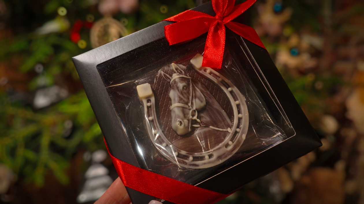 Chocolate Horseshoe | Almarini; 50g