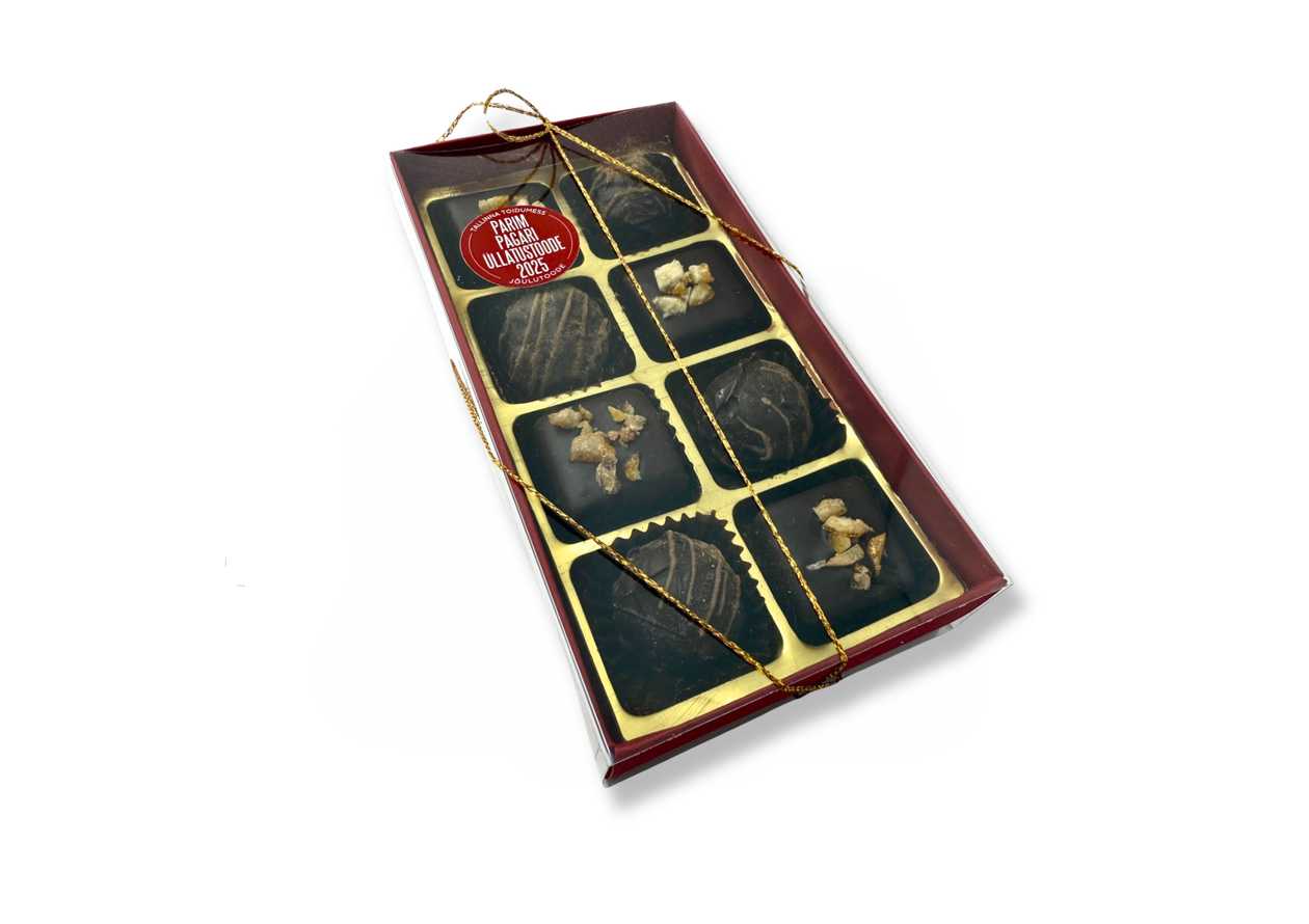 Talvine ahvatlus 8tk