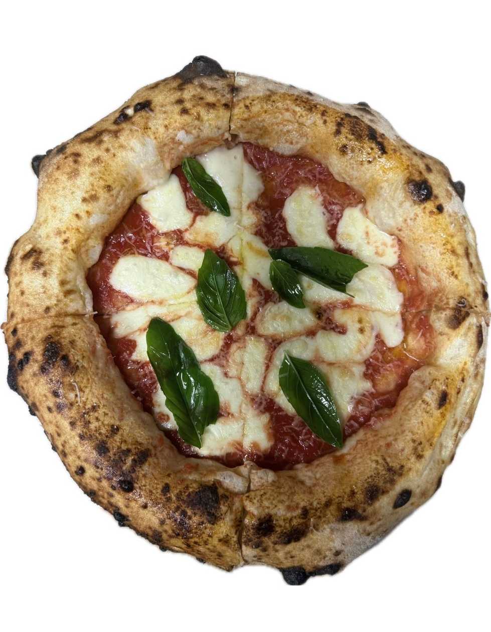 Pizza Margherita