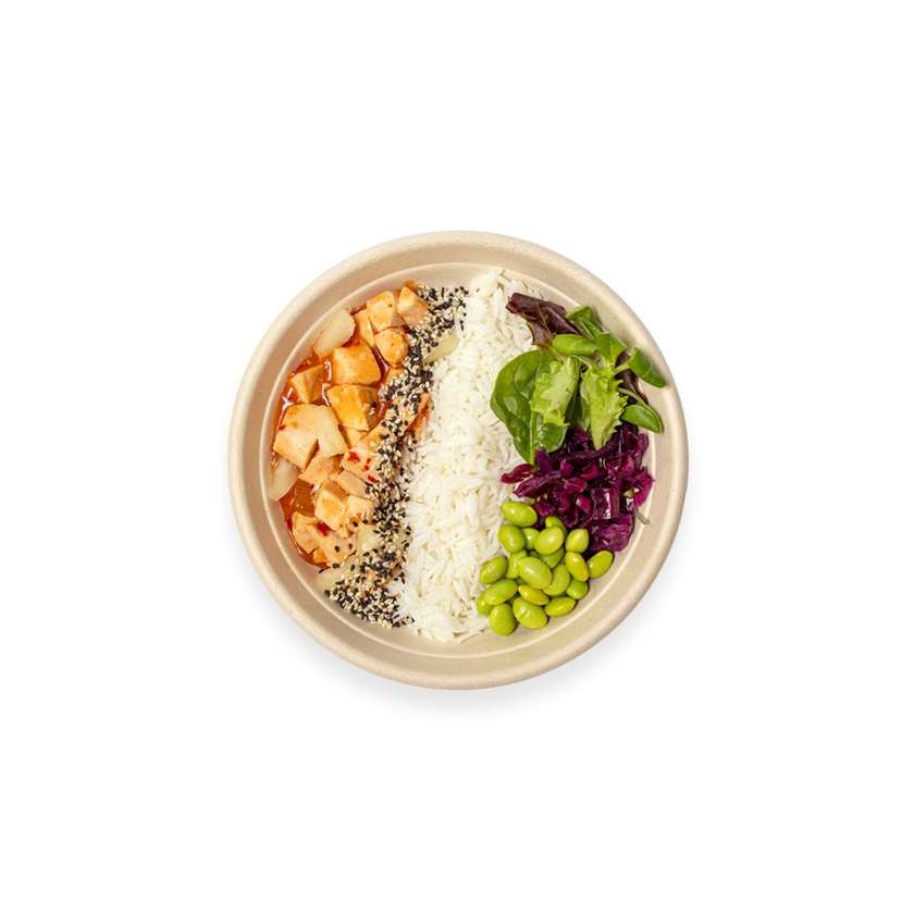 Chicken in Sweet and Sour Sauce