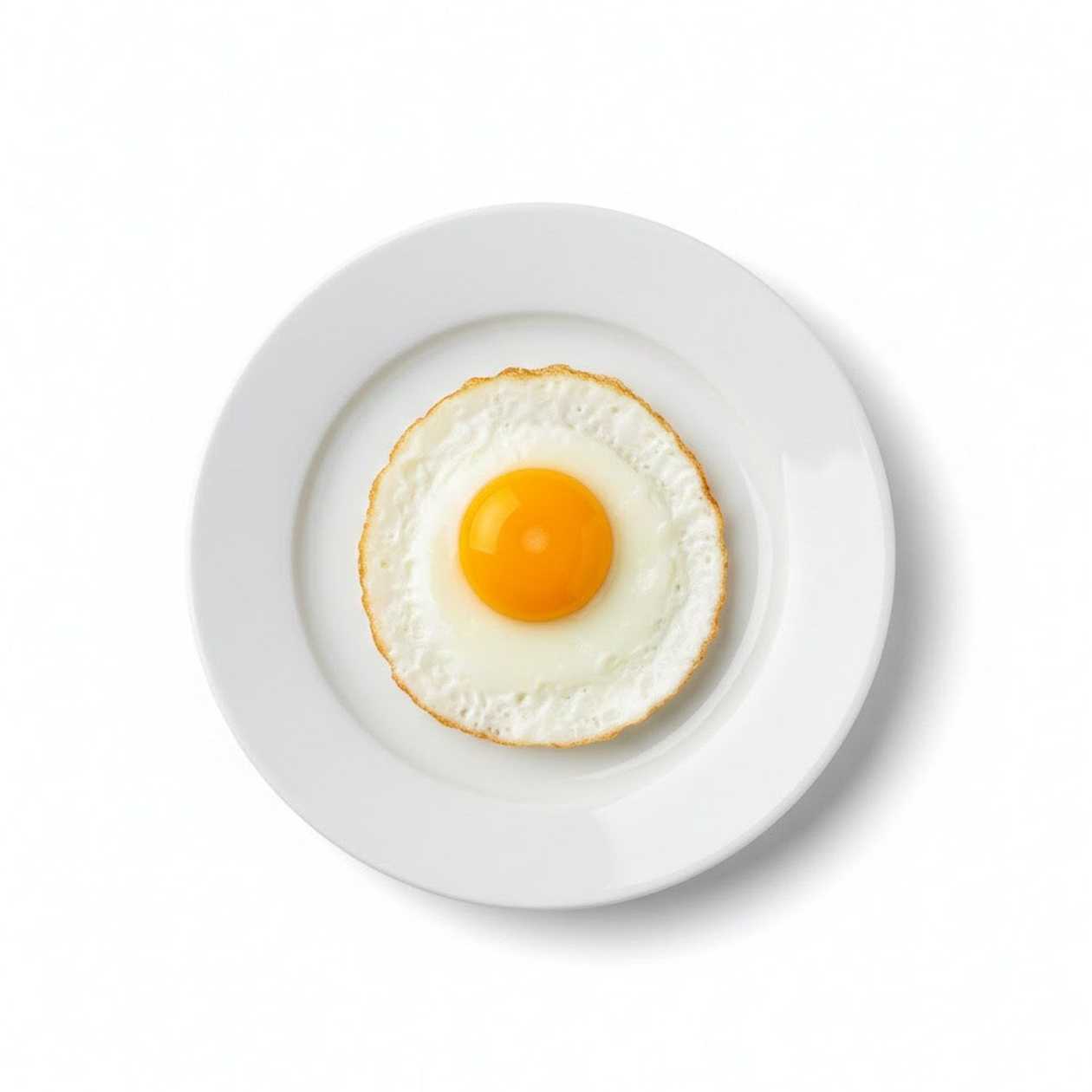 Egg