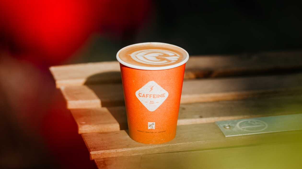 Peppermint mocha 470ml