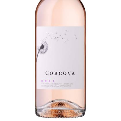Corcova Rose