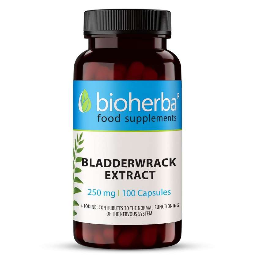 9993474 Bladderwrack Extract, 250 mg, 100 Capsules, Bioherba
