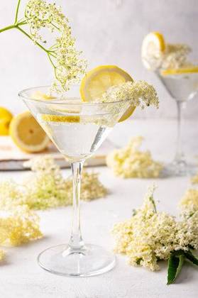 Elderflower gin & tonic